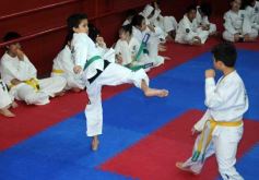 Foto de la galería: Gran cita del taekwondo en Posadas