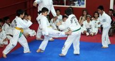 Foto de la galería: Gran cita del taekwondo en Posadas