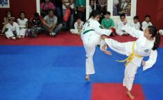 Foto de la galería: Gran cita del taekwondo en Posadas