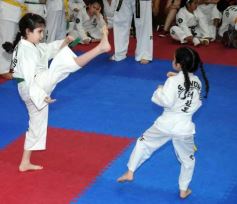 Foto de la galería: Gran cita del taekwondo en Posadas