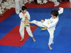 Foto de la galería: Gran cita del taekwondo en Posadas