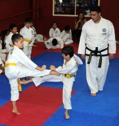Foto de la galería: Gran cita del taekwondo en Posadas