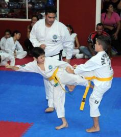Foto de la galería: Gran cita del taekwondo en Posadas