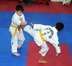 Foto de la galería: Gran cita del taekwondo en Posadas