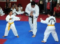Foto de la galería: Gran cita del taekwondo en Posadas