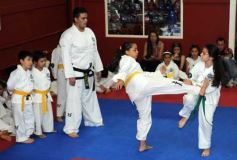 Foto de la galería: Gran cita del taekwondo en Posadas