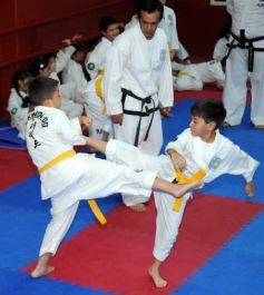 Foto de la galería: Gran cita del taekwondo en Posadas