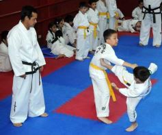 Foto de la galería: Gran cita del taekwondo en Posadas