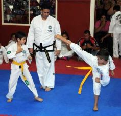 Foto de la galería: Gran cita del taekwondo en Posadas