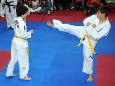 Foto de la galería: Gran cita del taekwondo en Posadas