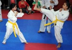 Foto de la galería: Gran cita del taekwondo en Posadas