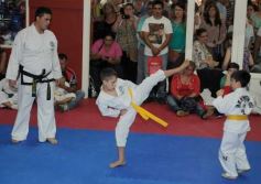 Foto de la galería: Gran cita del taekwondo en Posadas