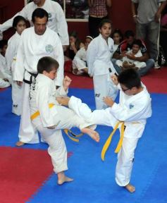 Foto de la galería: Gran cita del taekwondo en Posadas