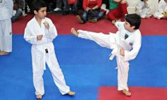 Foto de la galería: Gran cita del taekwondo en Posadas
