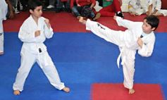 Foto de la galería: Gran cita del taekwondo en Posadas