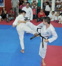 Foto de la galería: Gran cita del taekwondo en Posadas