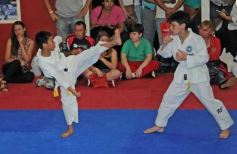 Foto de la galería: Gran cita del taekwondo en Posadas