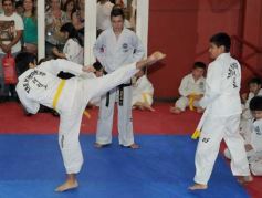 Foto de la galería: Gran cita del taekwondo en Posadas