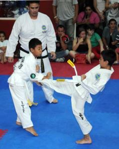 Foto de la galería: Gran cita del taekwondo en Posadas