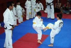 Foto de la galería: Gran cita del taekwondo en Posadas