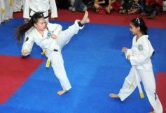 Foto de la galería: Gran cita del taekwondo en Posadas