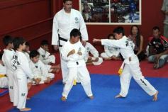 Foto de la galería: Gran cita del taekwondo en Posadas