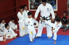 Foto de la galería: Gran cita del taekwondo en Posadas