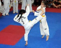 Foto de la galería: Gran cita del taekwondo en Posadas