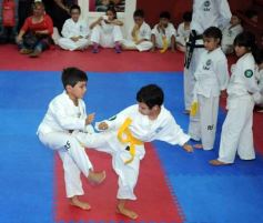 Foto de la galería: Gran cita del taekwondo en Posadas