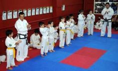 Foto de la galería: Gran cita del taekwondo en Posadas