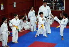 Foto de la galería: Gran cita del taekwondo en Posadas