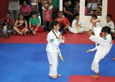 Foto de la galería: Gran cita del taekwondo en Posadas