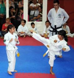 Foto de la galería: Gran cita del taekwondo en Posadas