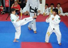Foto de la galería: Gran cita del taekwondo en Posadas