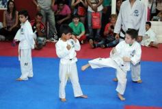 Foto de la galería: Gran cita del taekwondo en Posadas