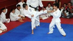Foto de la galería: Gran cita del taekwondo en Posadas