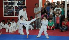 Foto de la galería: Gran cita del taekwondo en Posadas