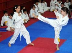 Foto de la galería: Gran cita del taekwondo en Posadas