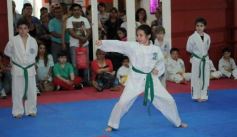 Foto de la galería: Gran cita del taekwondo en Posadas