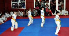 Foto de la galería: Gran cita del taekwondo en Posadas
