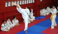 Foto de la galería: Gran cita del taekwondo en Posadas