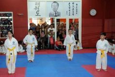 Foto de la galería: Gran cita del taekwondo en Posadas