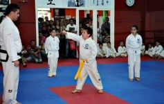 Foto de la galería: Gran cita del taekwondo en Posadas