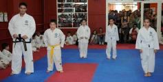 Foto de la galería: Gran cita del taekwondo en Posadas