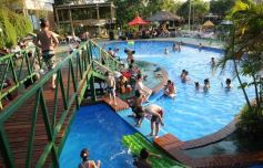 Foto de la galería: Show musical en la pileta del Iplyc