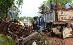 Foto de la galería: Benmaor encabezó un operativo contra el dengue en el barrio Independencia