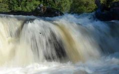 Foto de la galería: Salto Encantado, una maravilla que hay que visitar