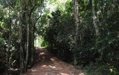 Foto de la galería: Salto Encantado, una maravilla que hay que visitar