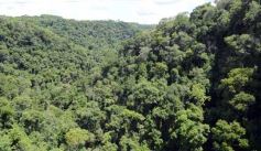 Foto de la galería: Salto Encantado, una maravilla que hay que visitar