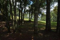 Foto de la galería: Salto Encantado, una maravilla que hay que visitar